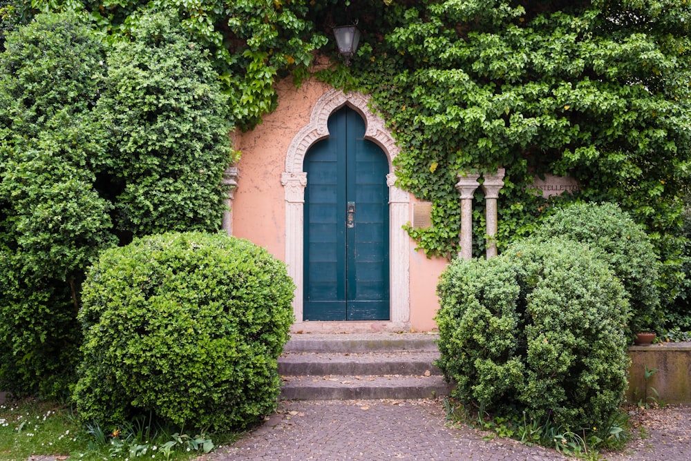 Puerta azul cerca de las plantas