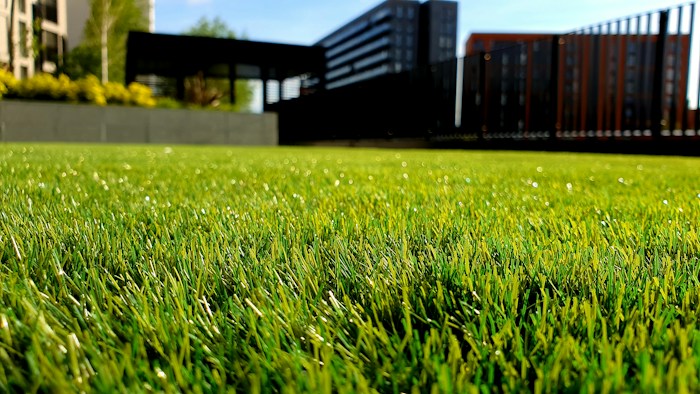 Green lawn