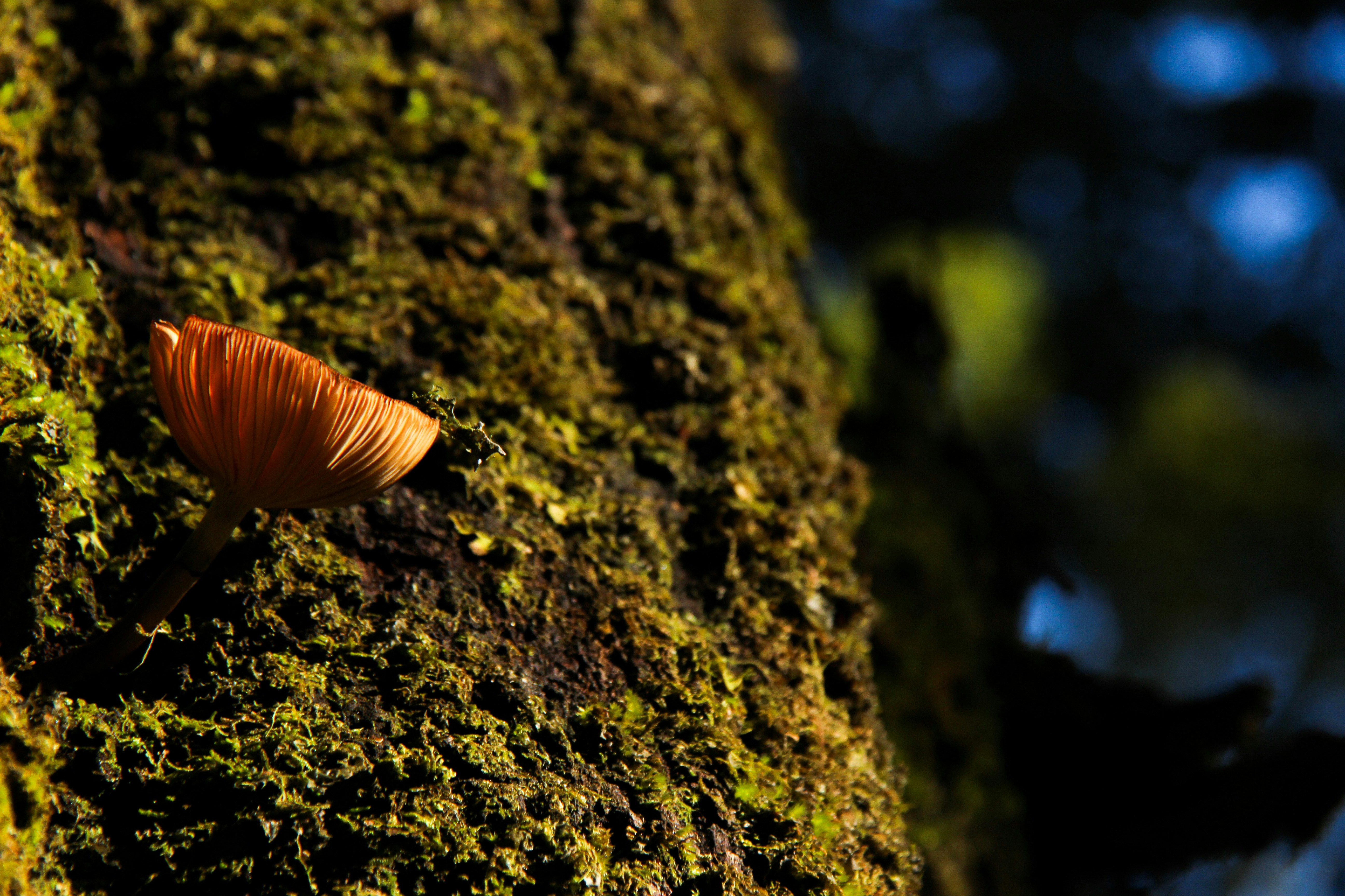 Photo by rruby_dawson