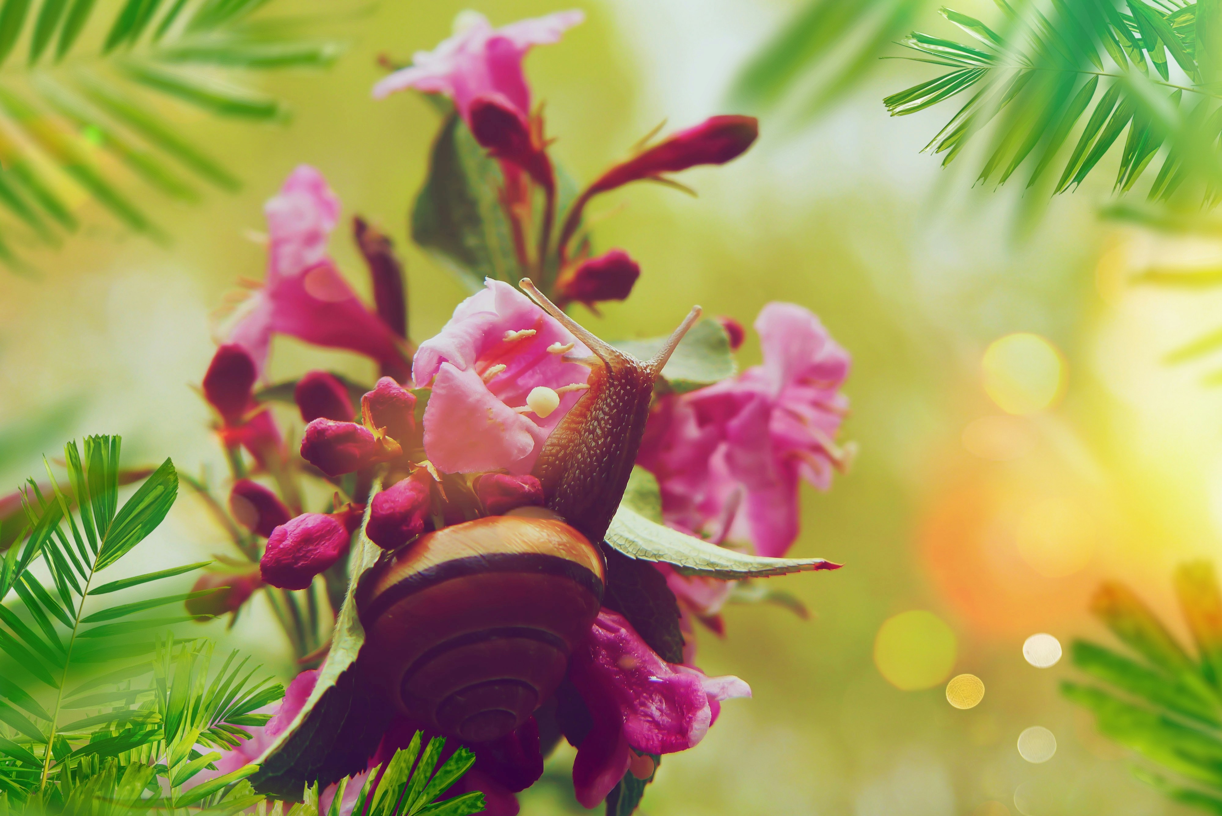 9 Seasonal Care Steps for Aquascaping Setup for Year-Round Beauty
