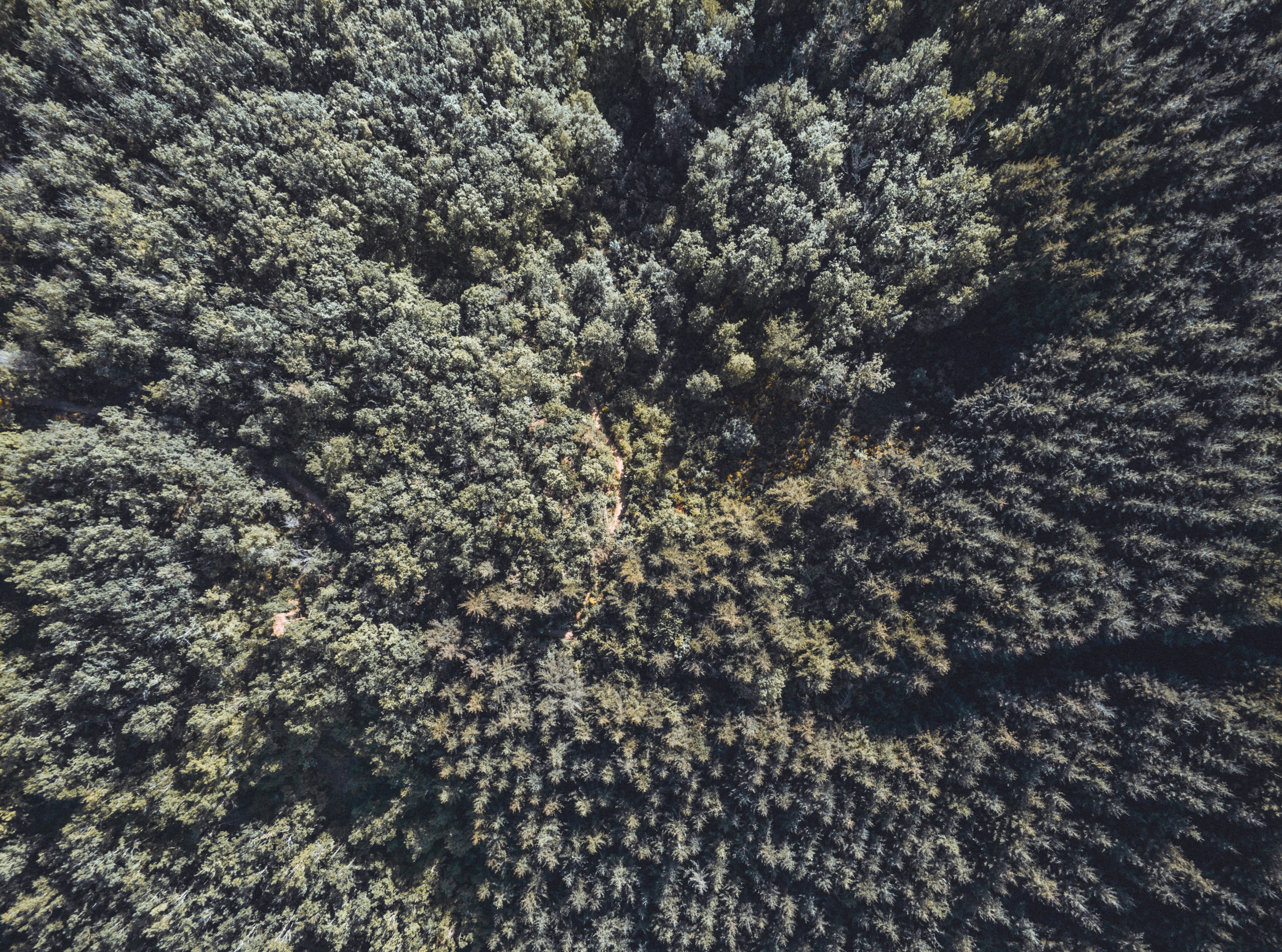 Photo by lilian_velet