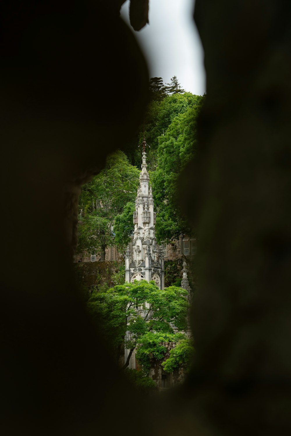 medieval building surrounded with trees