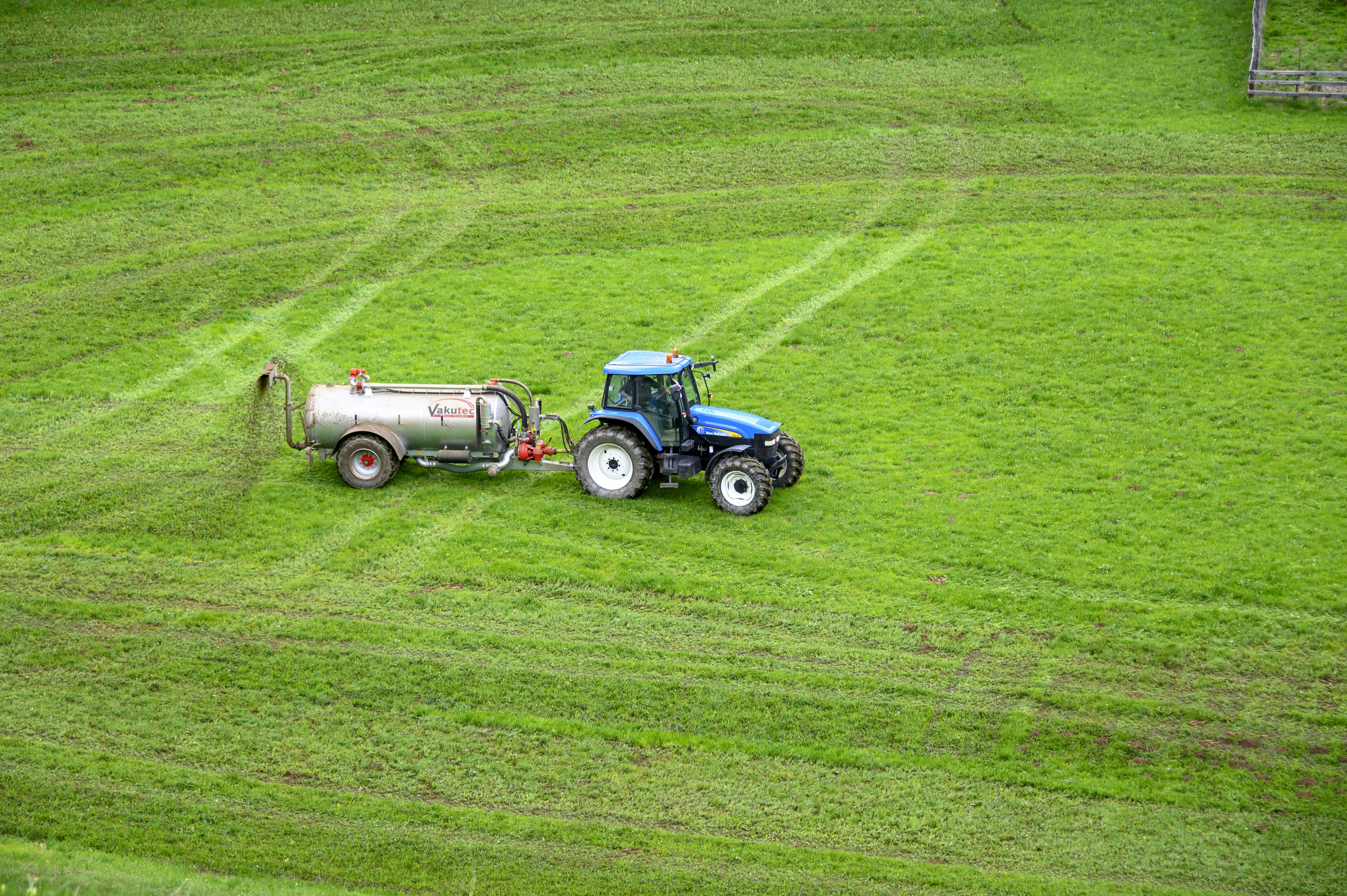 Deforestation And Global Warming: A Dangerous Duo