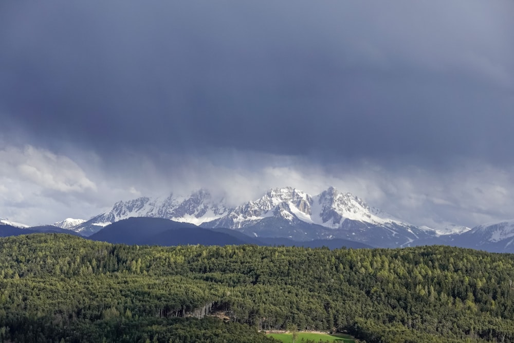 forest near snow capped mountains under thick cloud formation during daytime