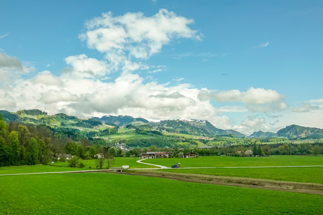 green field at daytime