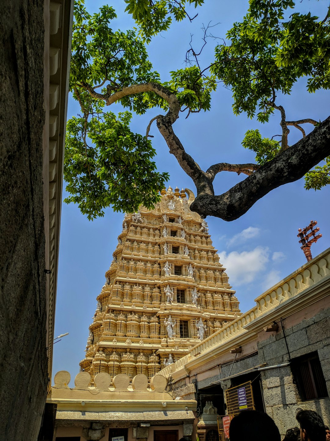 Historic site photo spot Shree Chamundeshwari Temple India