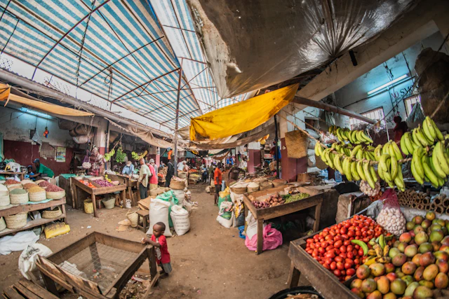 Lessons From Scaling FMCG Brands Across Lagos and Ogun State – DALA Nigerian retail and FMCG insight