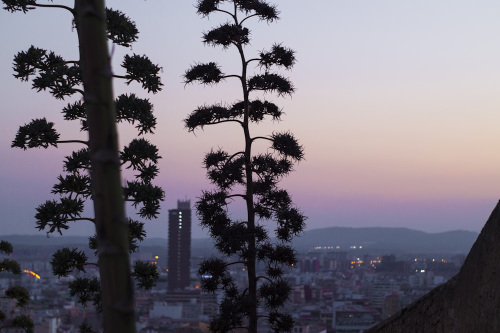 city during nighttime through silhouette of trees