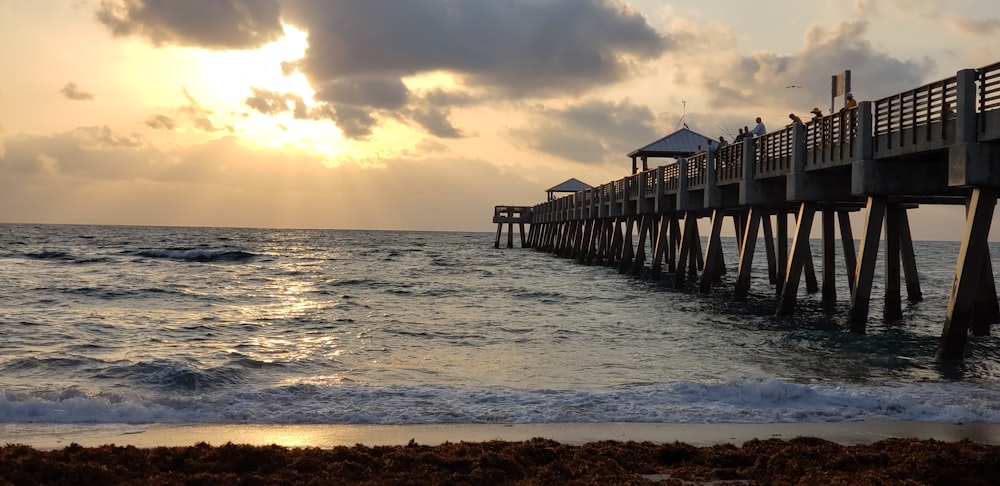 wooden dock during golden hour