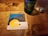 A wooden table holds a Heineken bottle and a glass filled with liquid. A square coaster from Cactus Club Cafe displays a design with a yellow sun, stylized waves, and a hand, carrying the text 'COOL ME DOWN' above it.