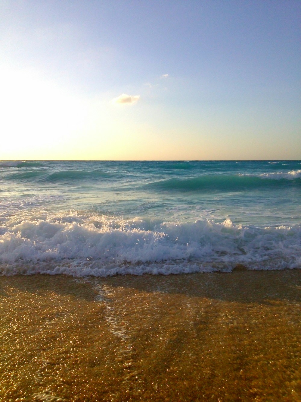 seashore during daytime