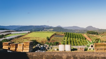 A scenic landscape of a countryside farm with fields of crops stretching towards distant hills. The foreground has stacks of wooden planks and concrete pipes, with lush greenery across the scene. Blue skies hover above, contributing to a peaceful and expansive view.