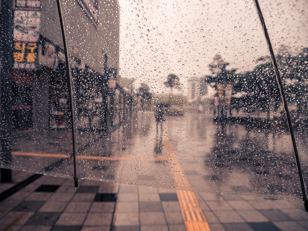 person walking on paved road