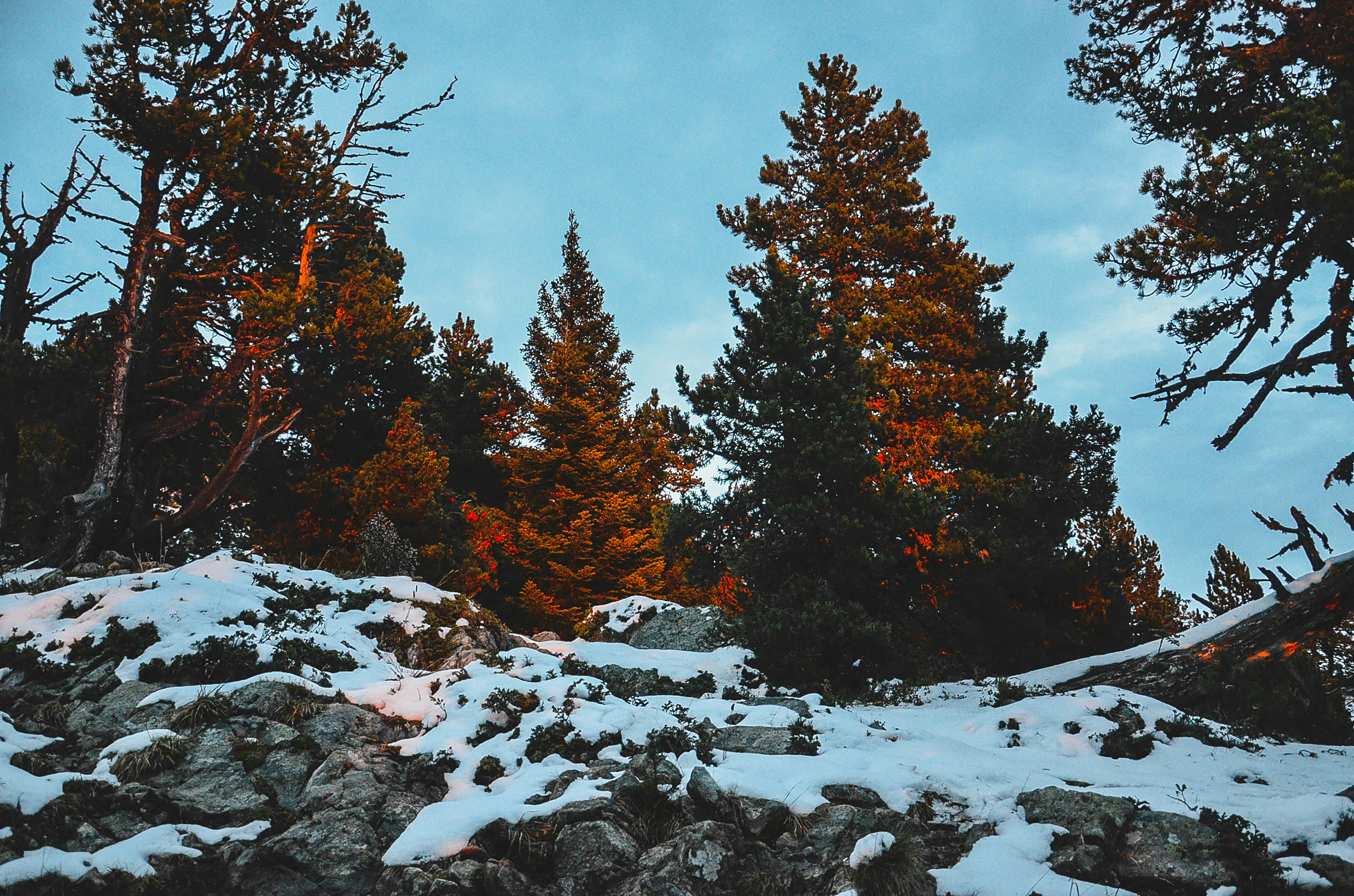 Photo by cristianodalbem