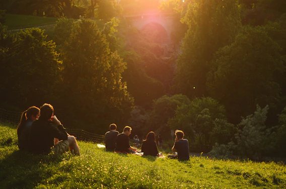 people sitting on grass field near green trees