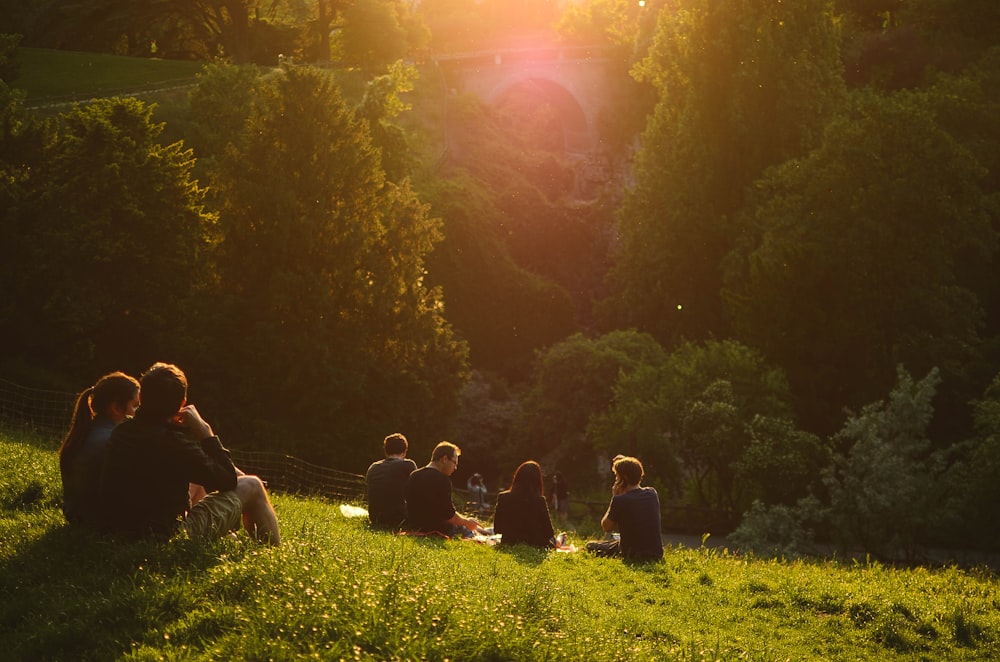 people sitting on grass field near green trees