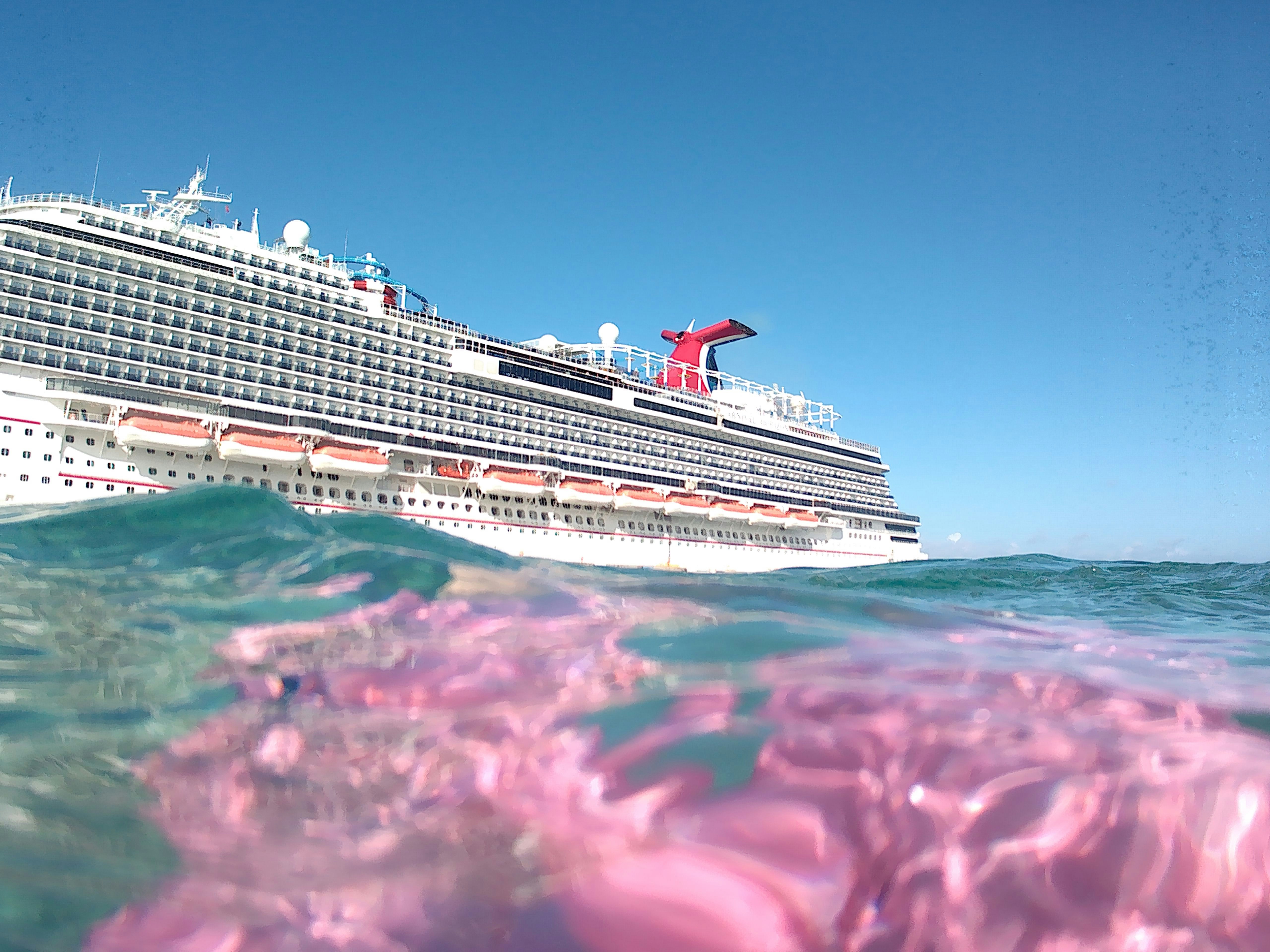 Carnival Cruise acaba de sufrir una filtración masiva de datos