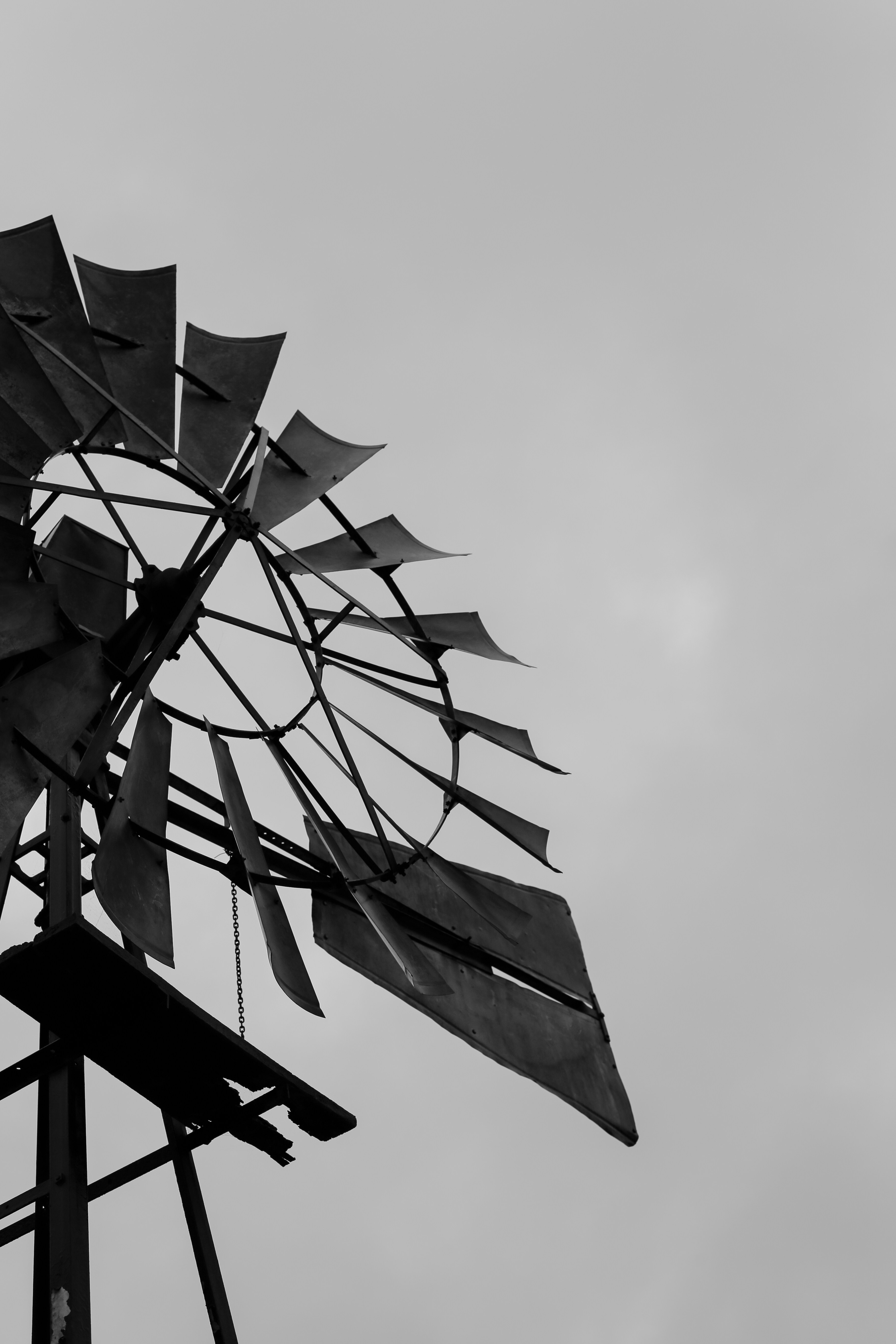 Photo by nikoherrera