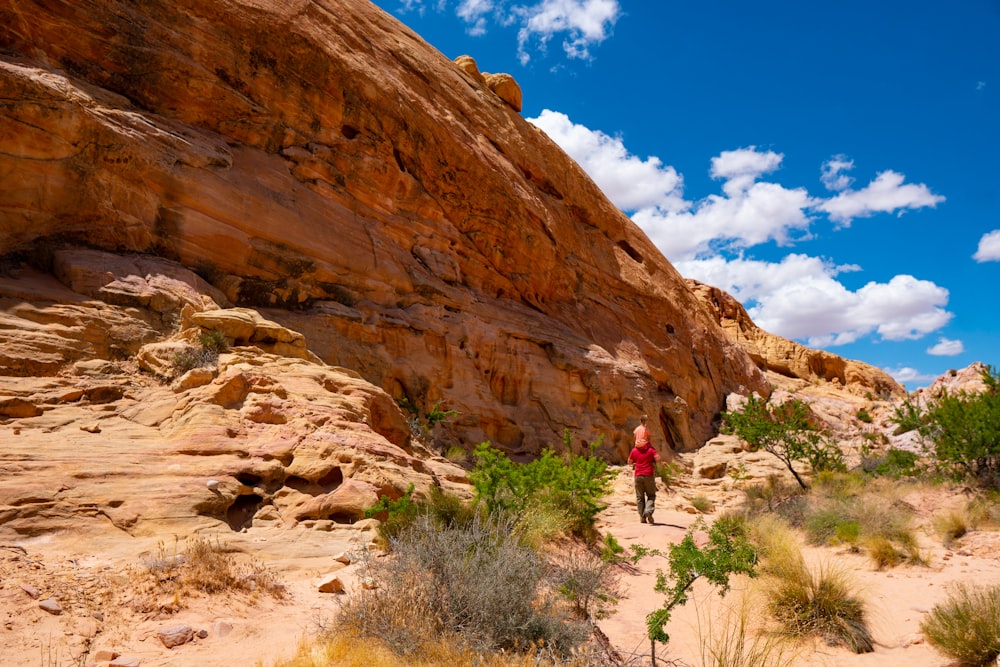 person walking on brown rocky mountain during daytime