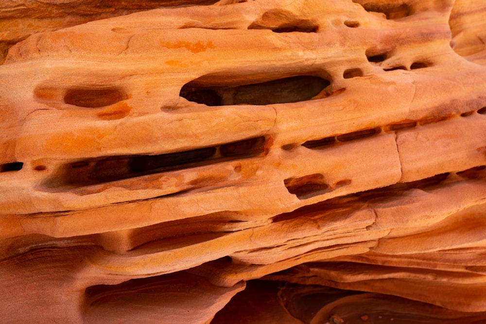 a close up of a rock formation with holes in it