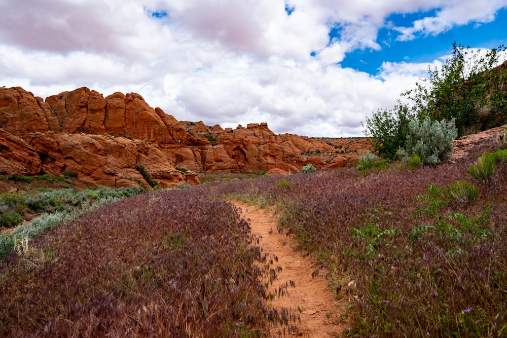 brown rock formation