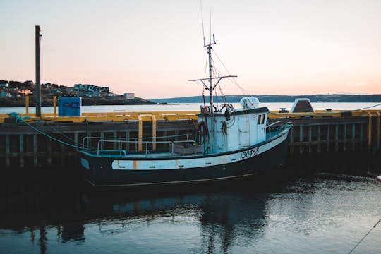 A skilled technician working on a boat engine by the dock at sunset.