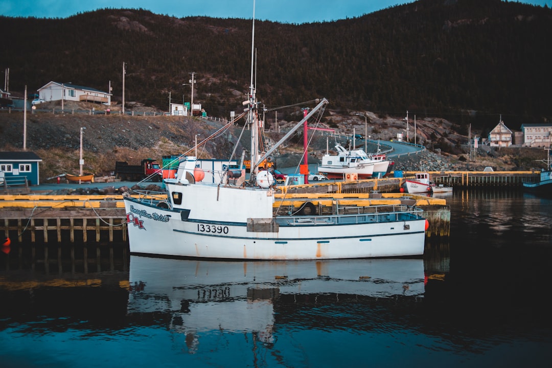 white ship on focus photography