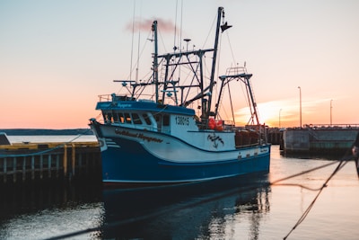 A fishing boat returning to harbor with a full catch at sunset.