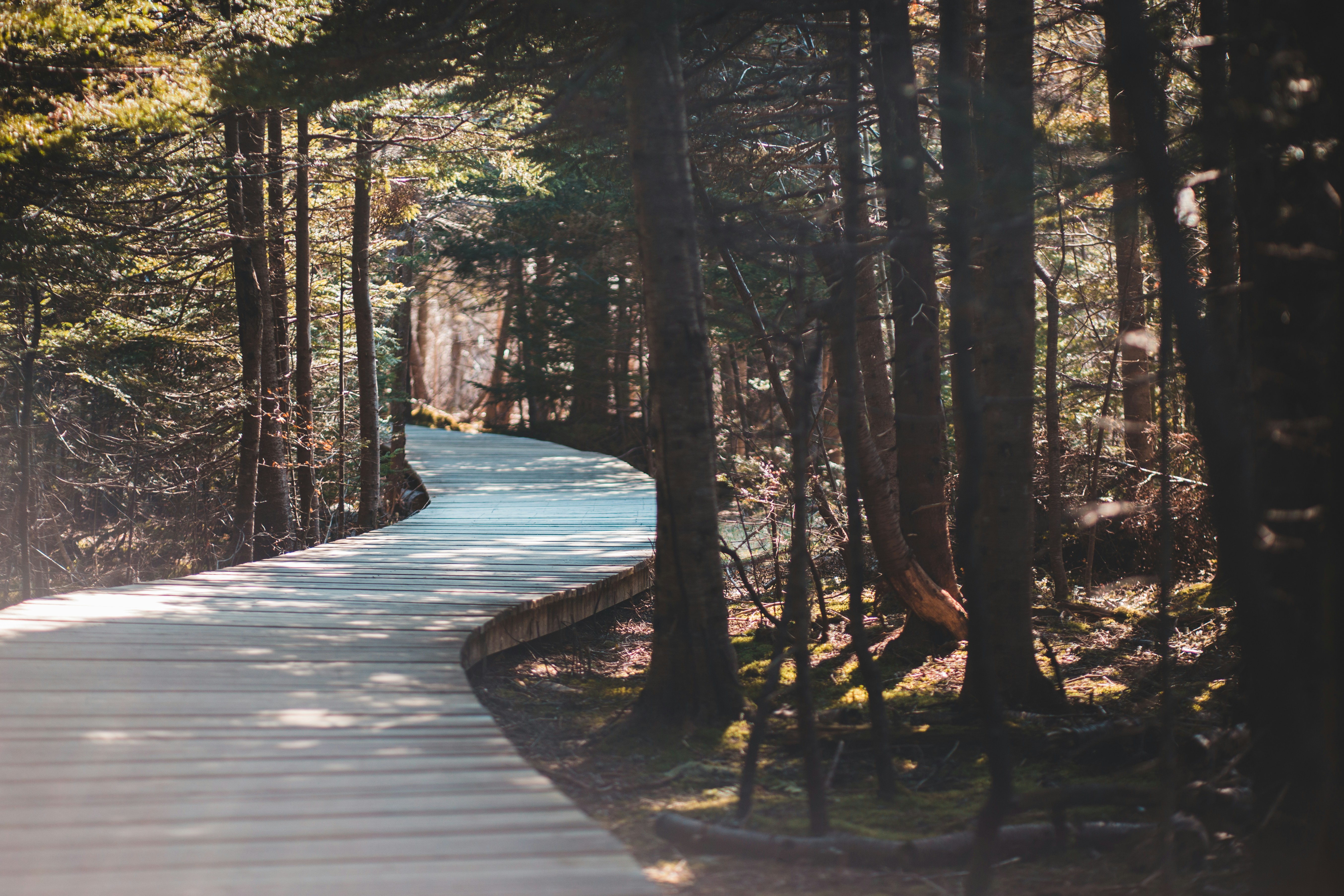 Photo by introspectivedsgn