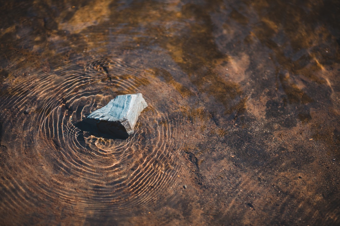 grey stone on water