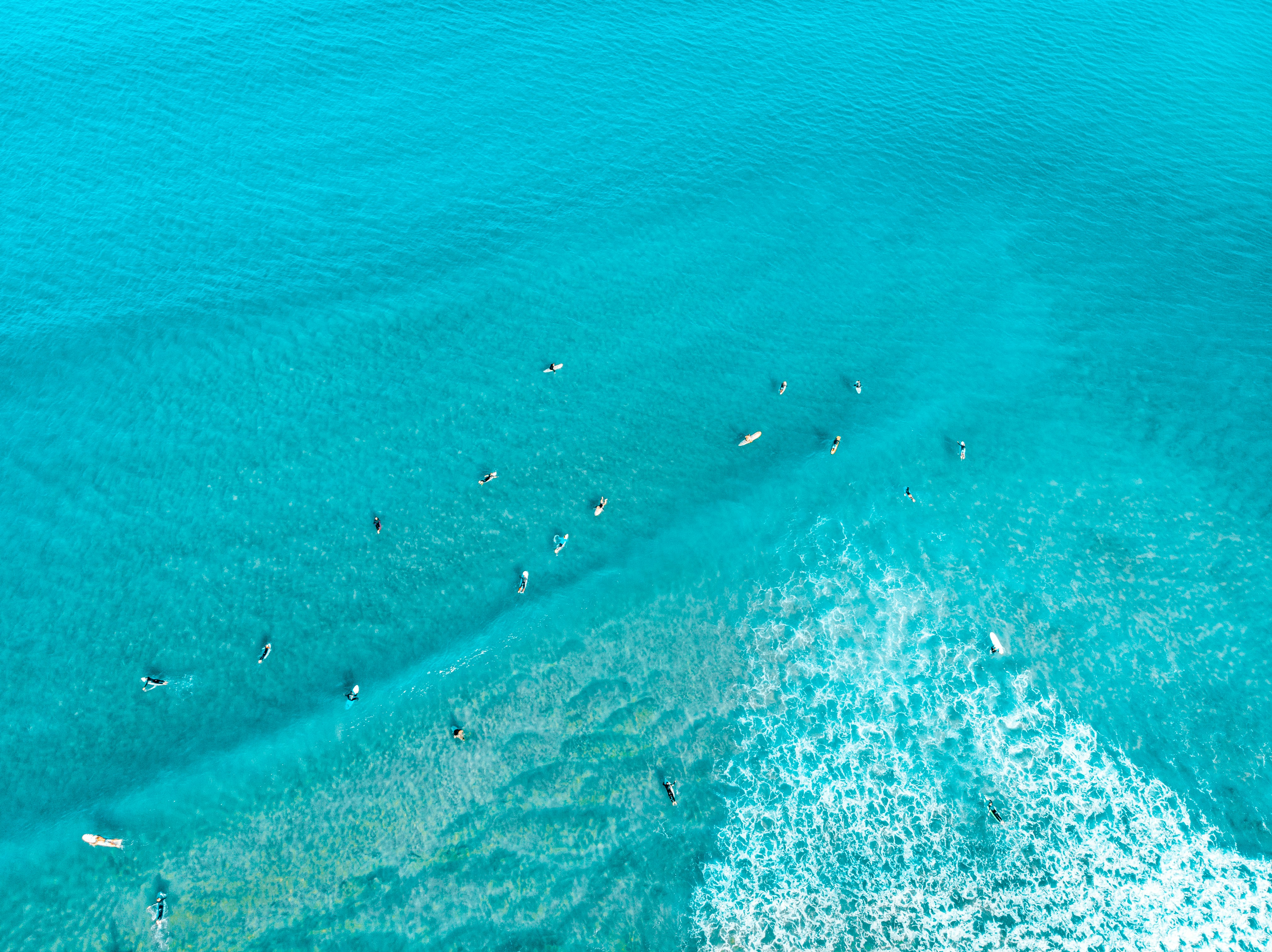 aerial view of surfers at the ocean