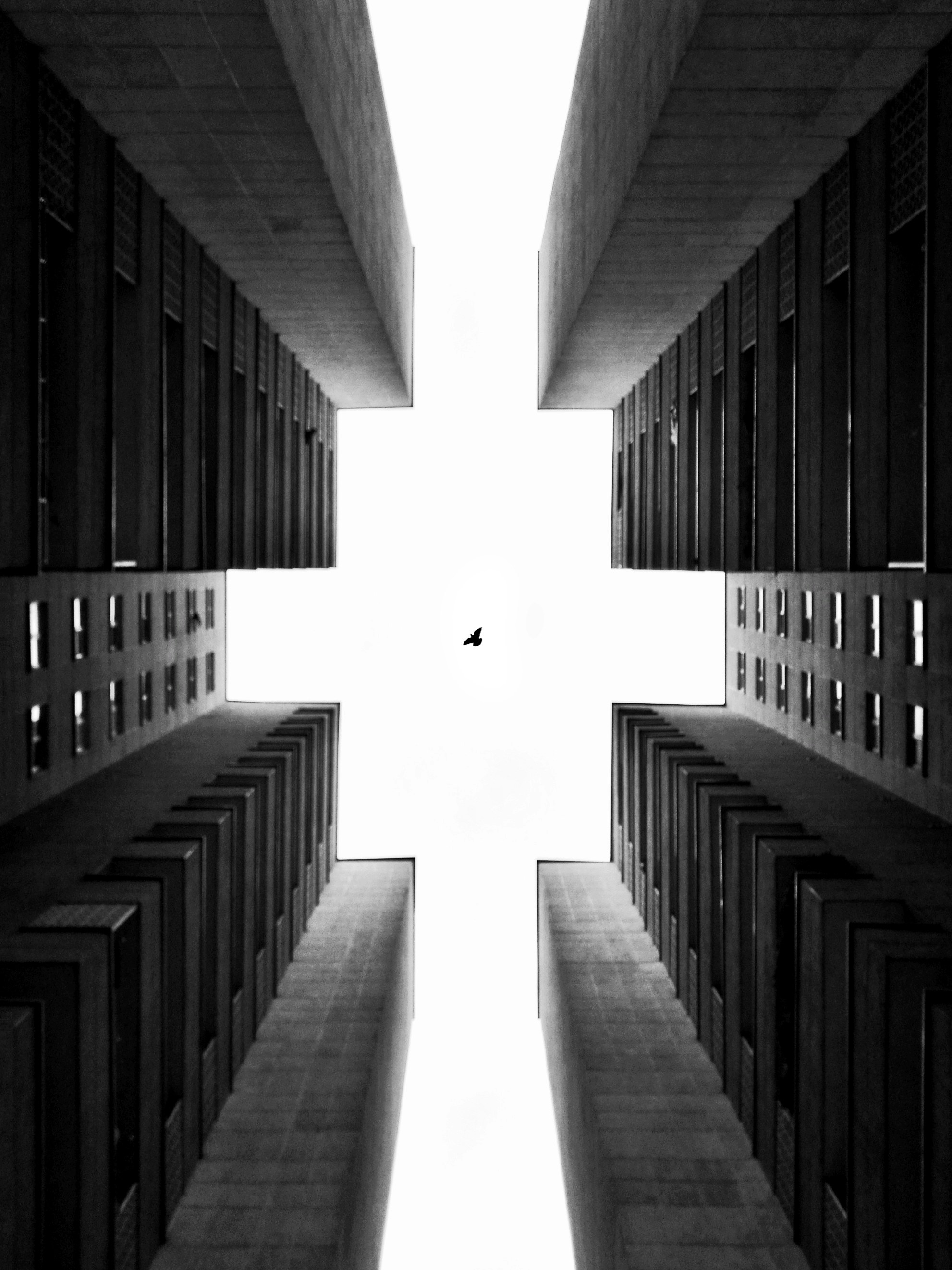 Photo by mehrsasaberi