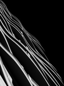 Abstract architectural design featuring curved, flowing lines and dark contrasting spaces, suggesting a modern and dynamic structure.