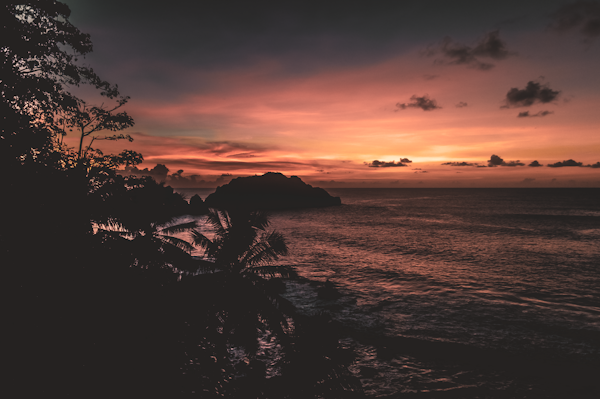 Palms silhouetted against the sunset — Fernando de Noronha, Brazil