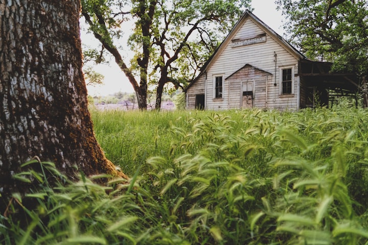 The 7 Most Disturbing, Macabre Virtual & OnlineTours: East Coast