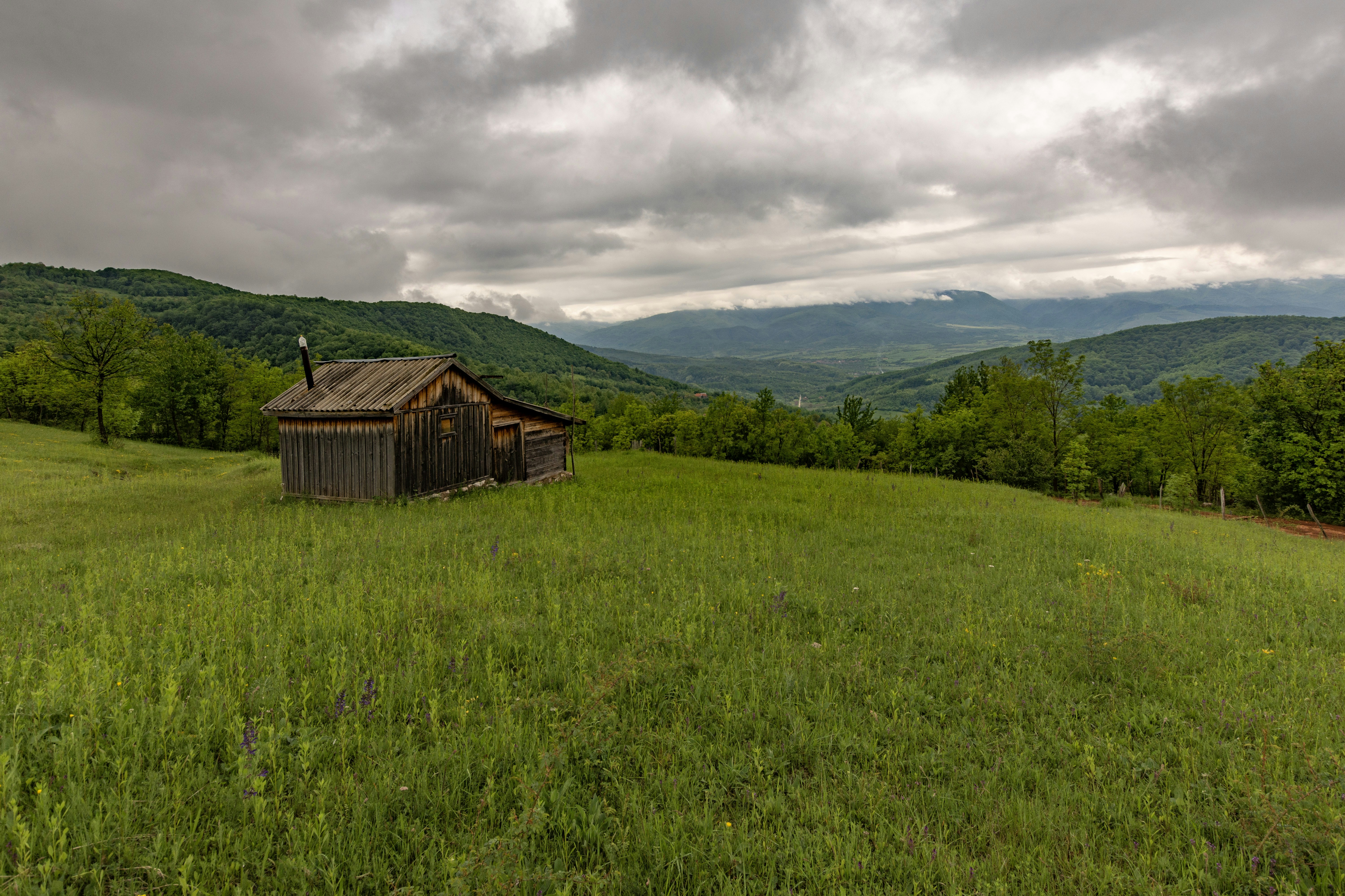 Photo by redermarius