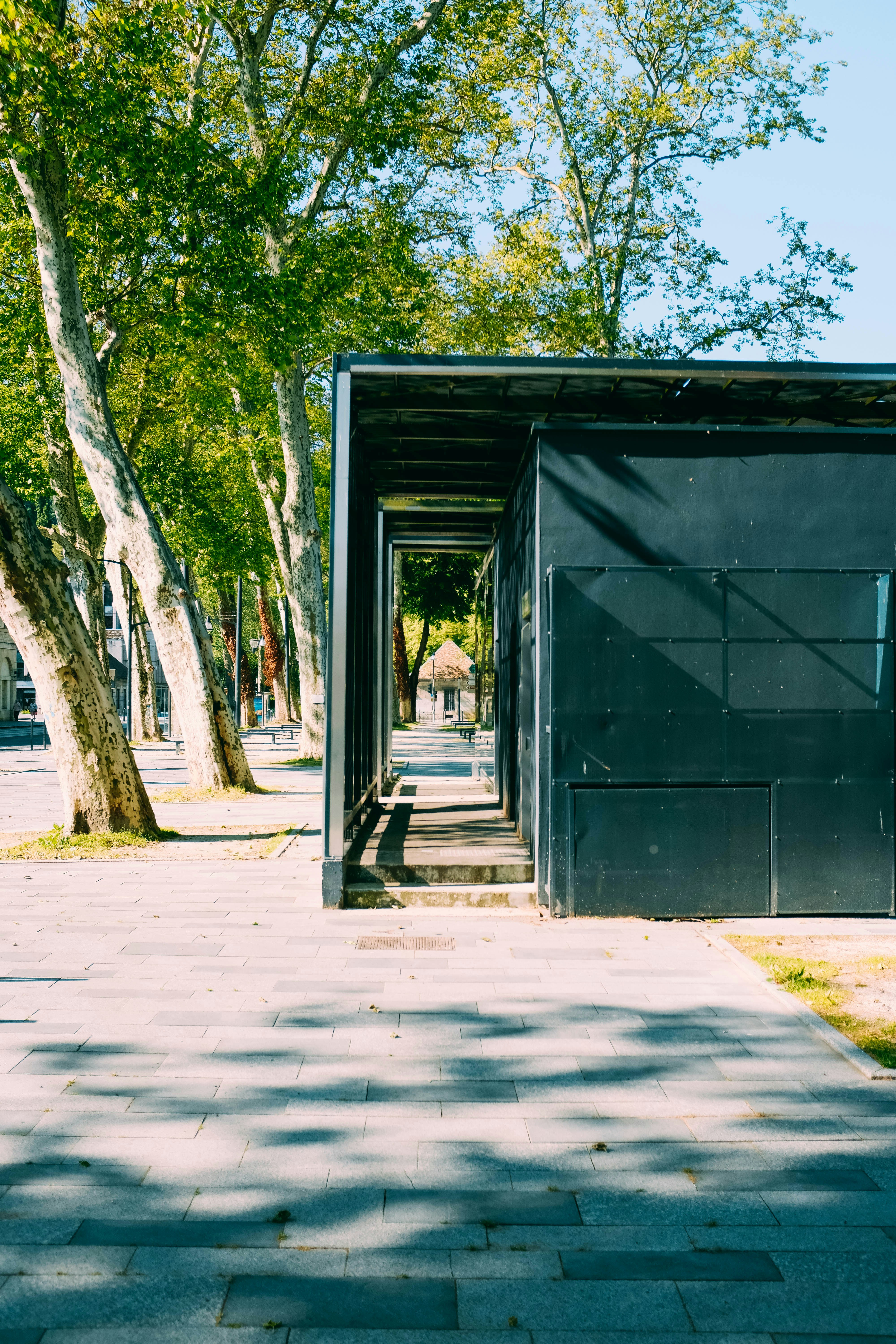 Photo by adrienolichon