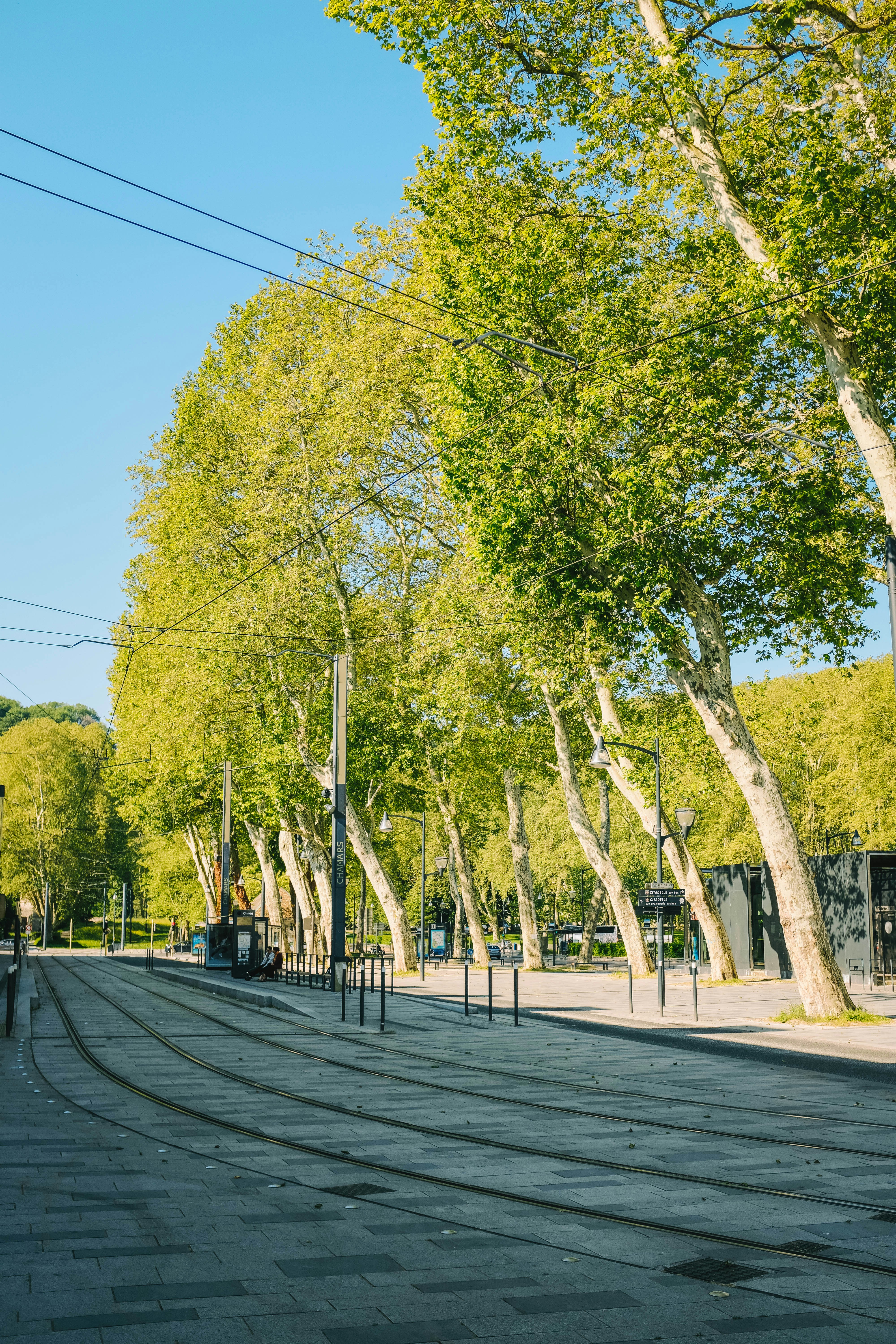 Photo by adrienolichon