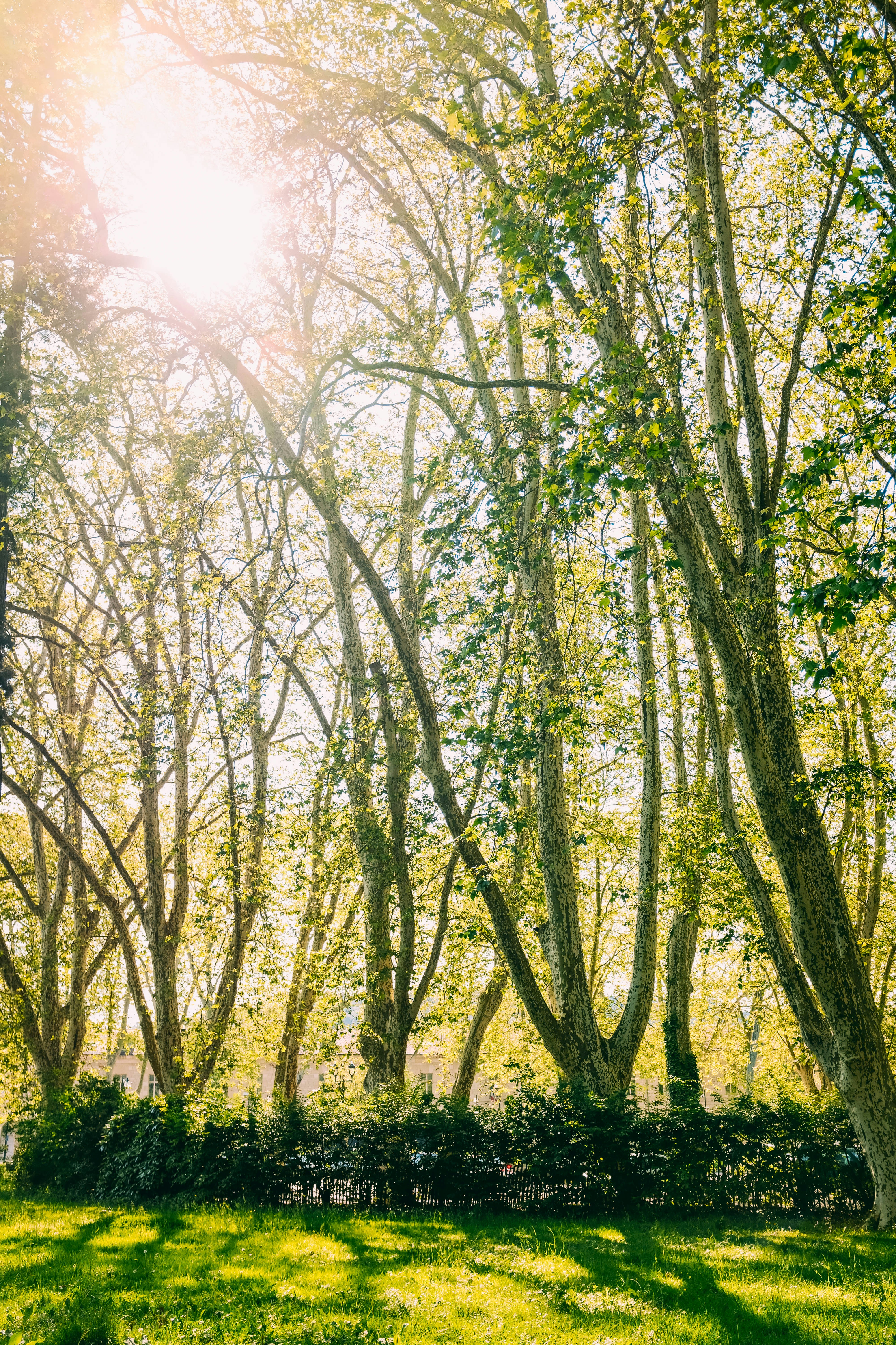 Photo by adrienolichon