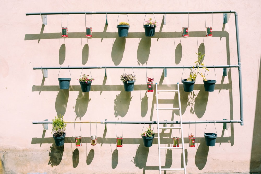 ladder leaning on flower pot's frame