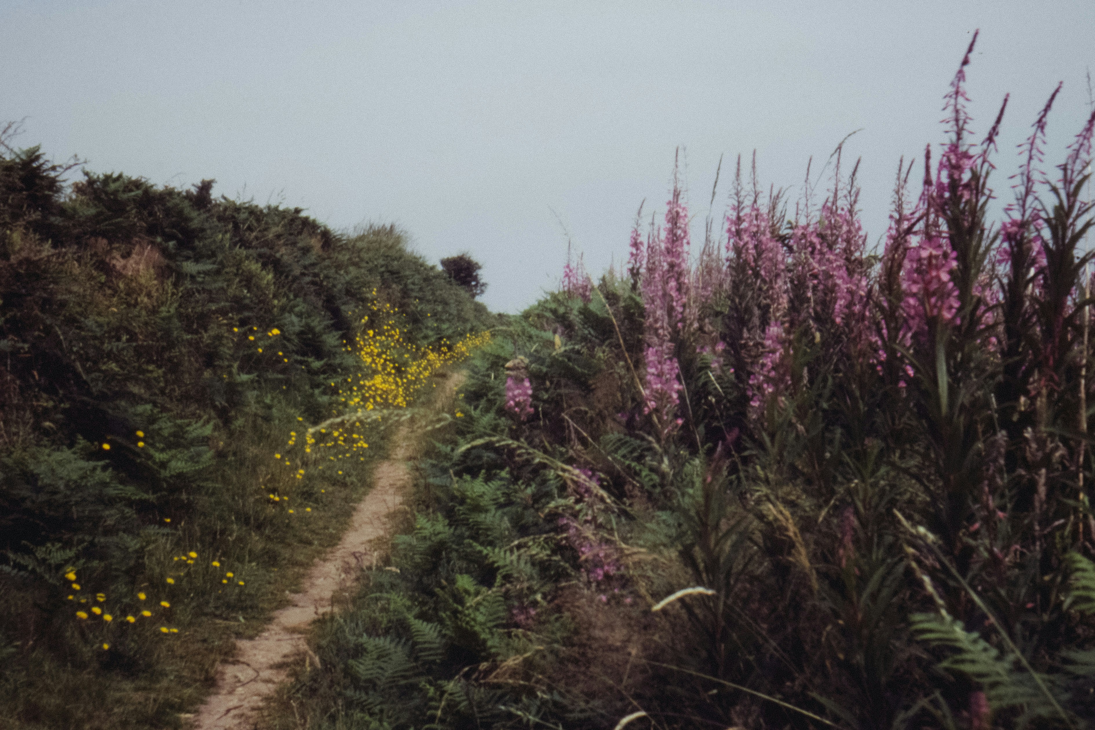 Photo by anniespratt