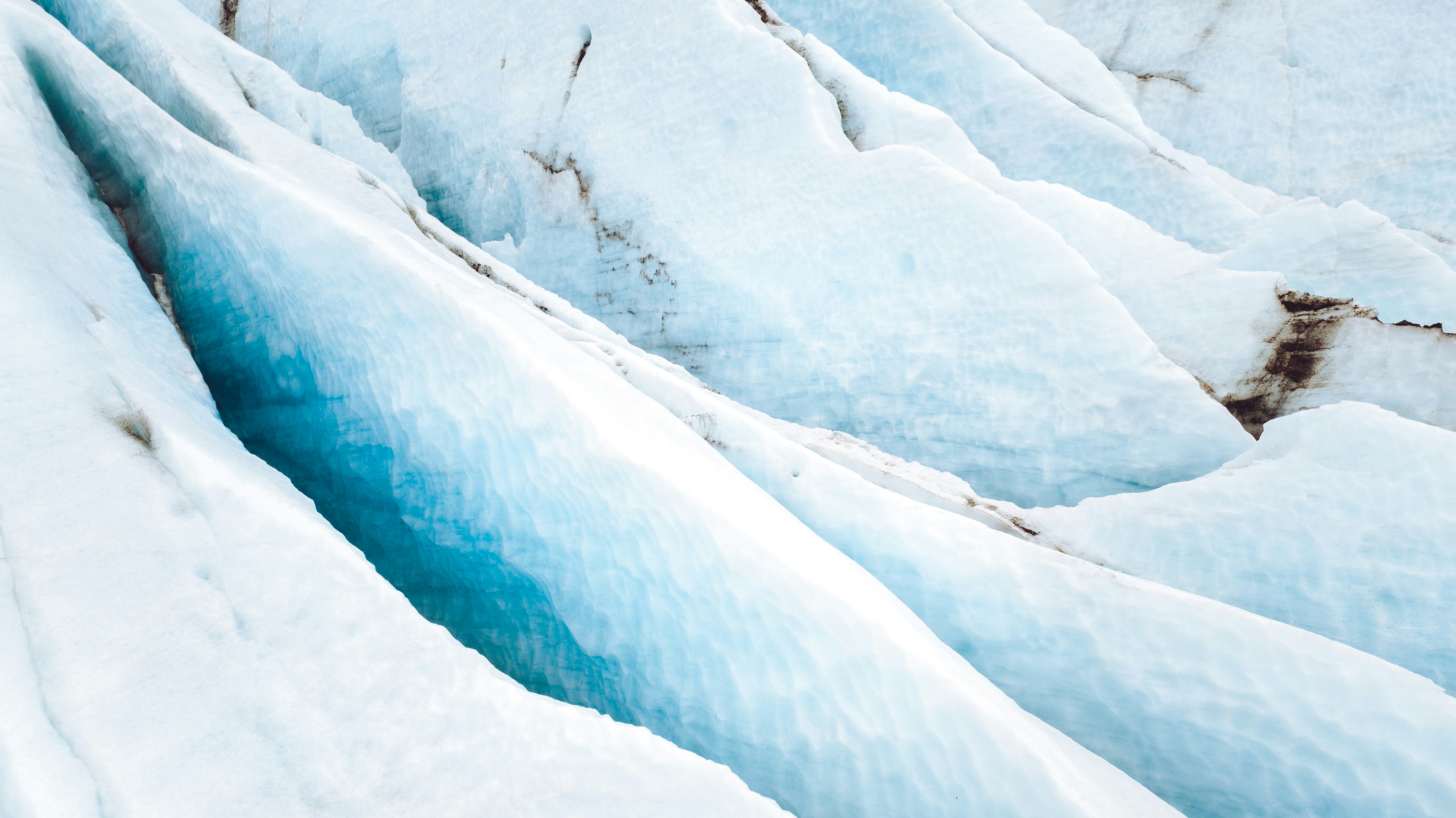 Photo by brunovdkraan