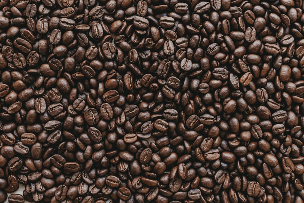 pile of coffee beans