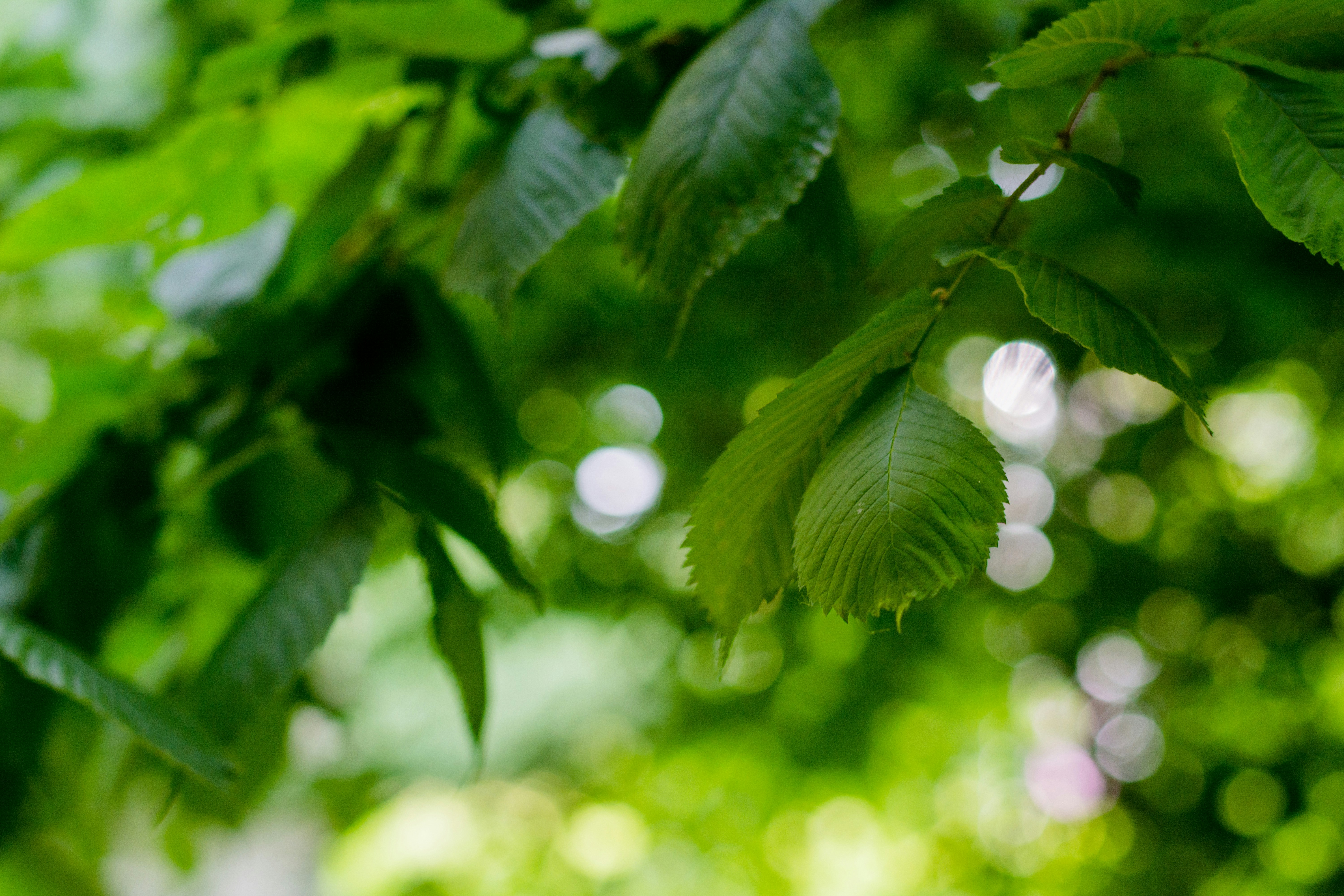 Photo by eugenivy_now