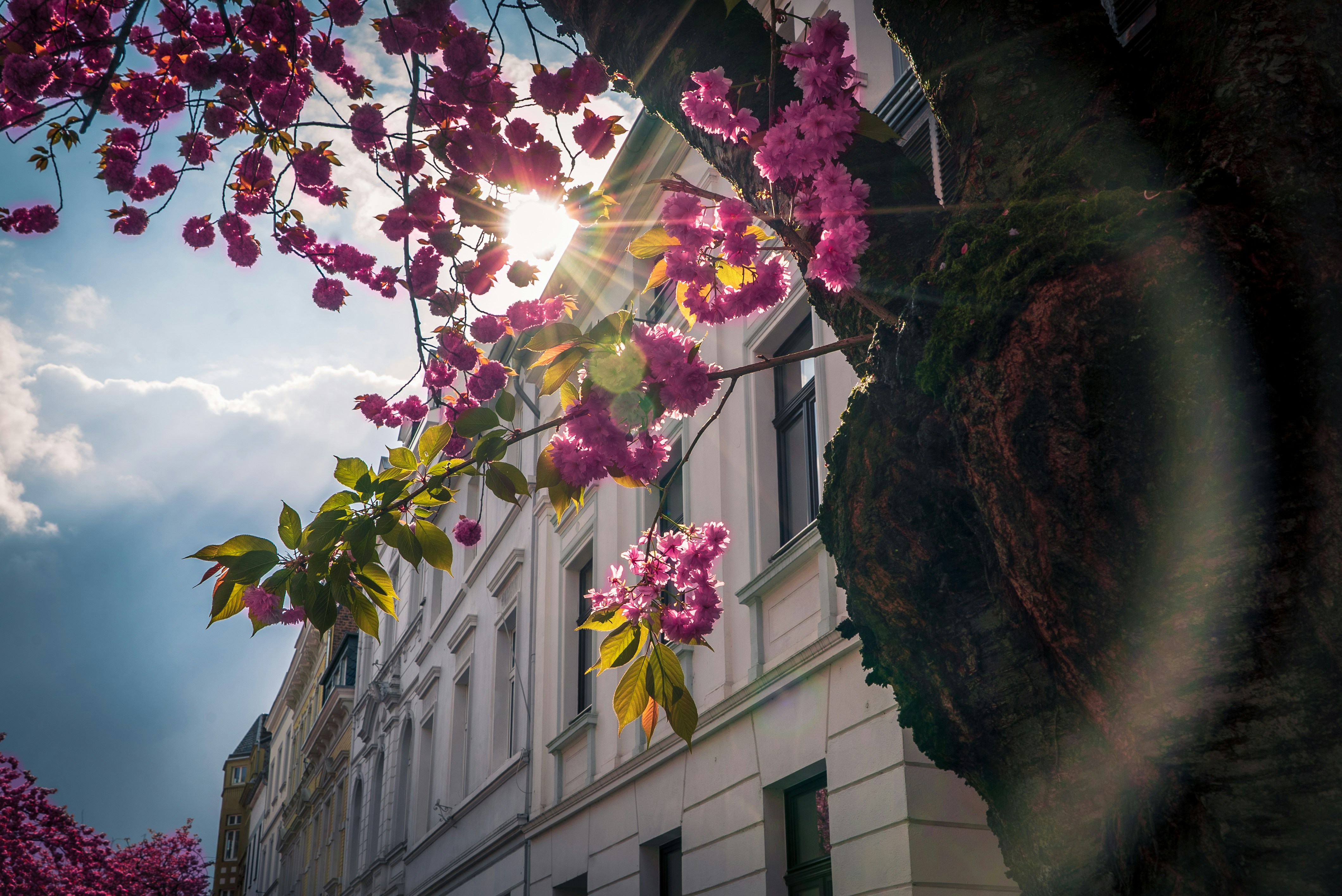 Photo by kommumikation