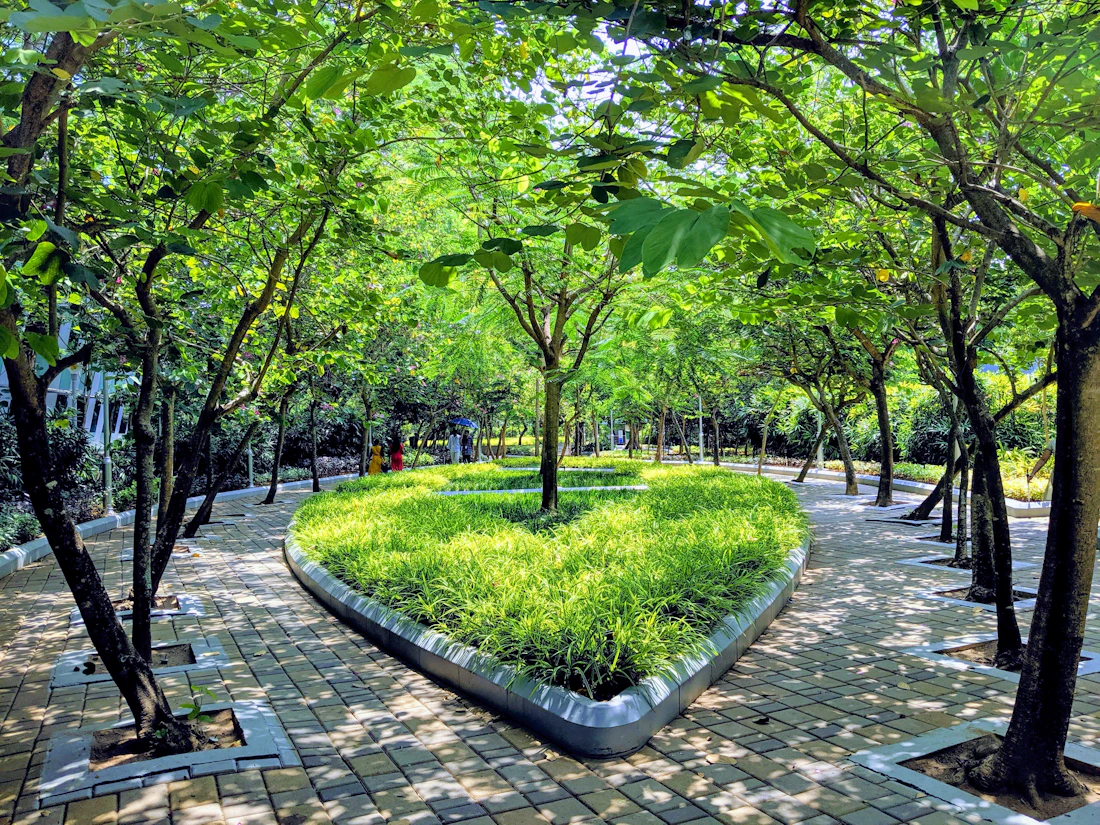 Lush green trees and gardens in Thiruvananthapuram