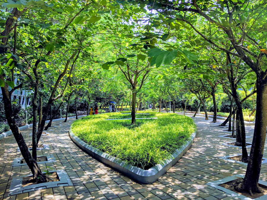 Lush green trees and gardens in Thiruvananthapuram