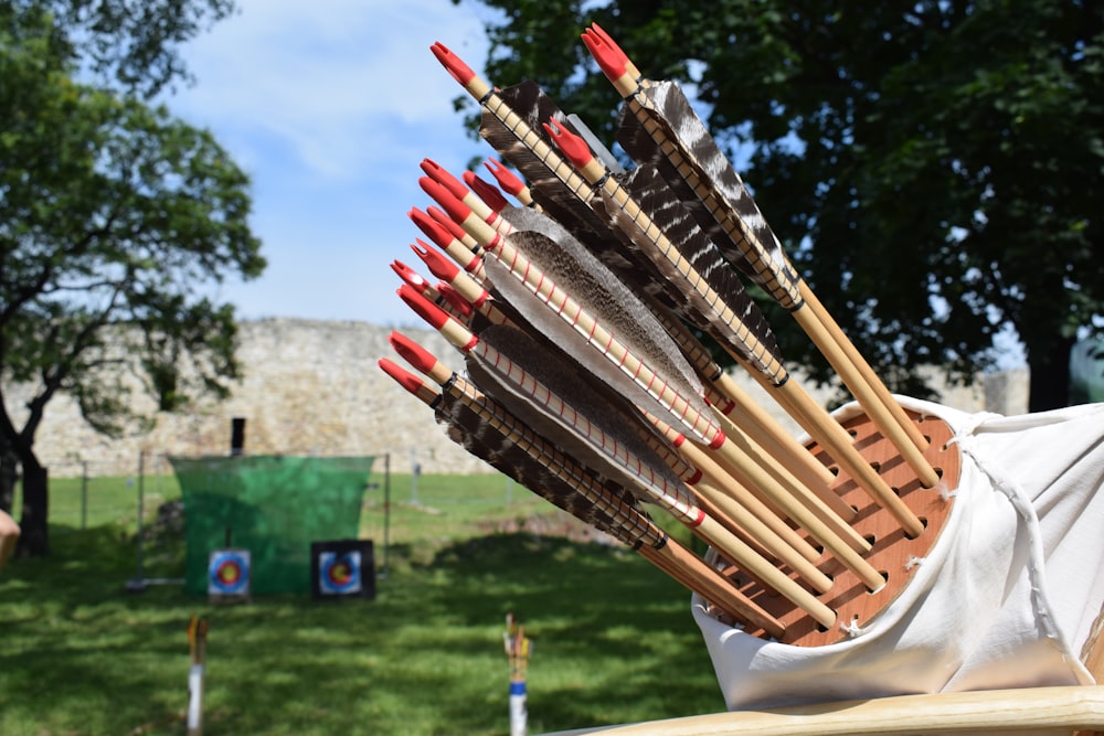 arrows on organizer near trees