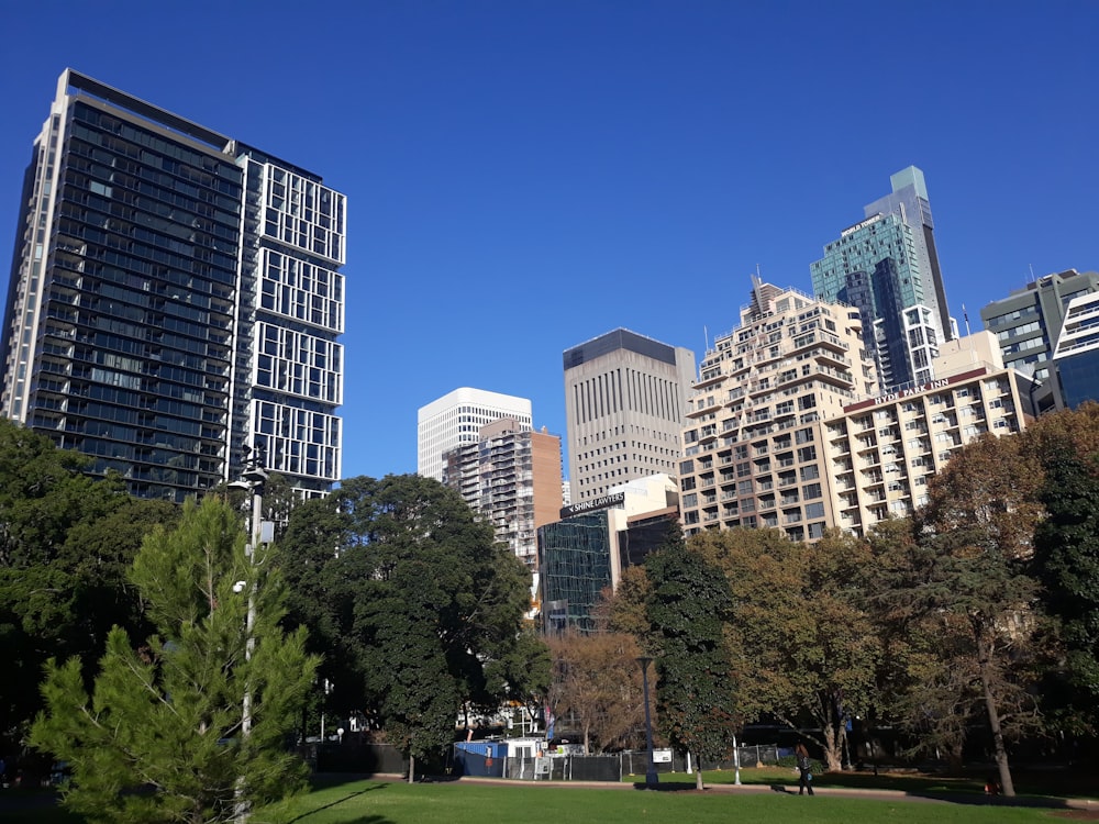 Parc forestier de la ville pendant la journée