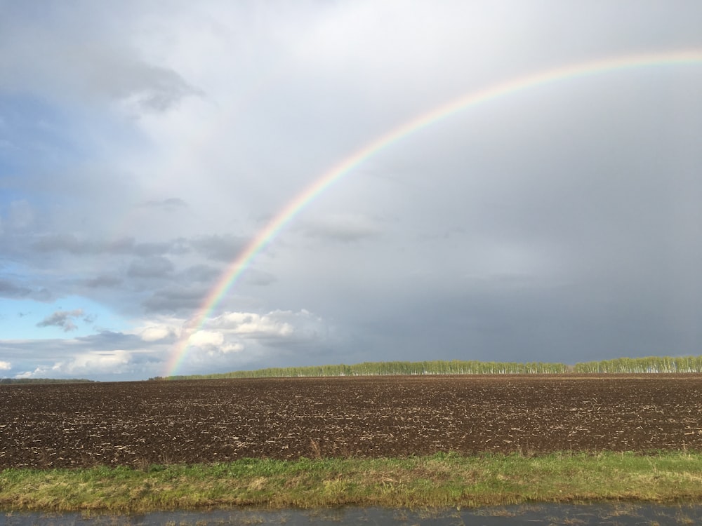 brown field under rainbows